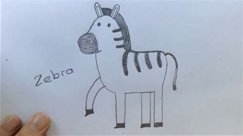 zebra nasıl çizilir